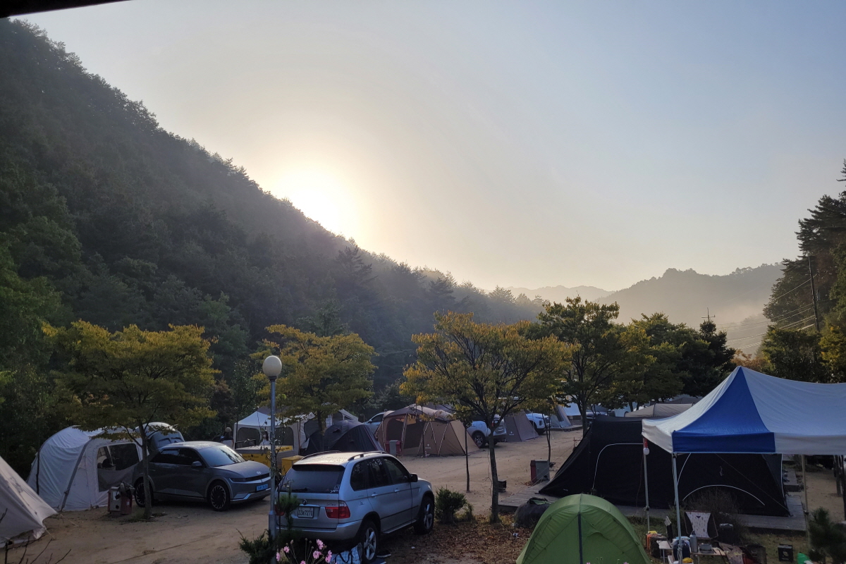 영양수비별빛캠핑장 캠핑장 전경3