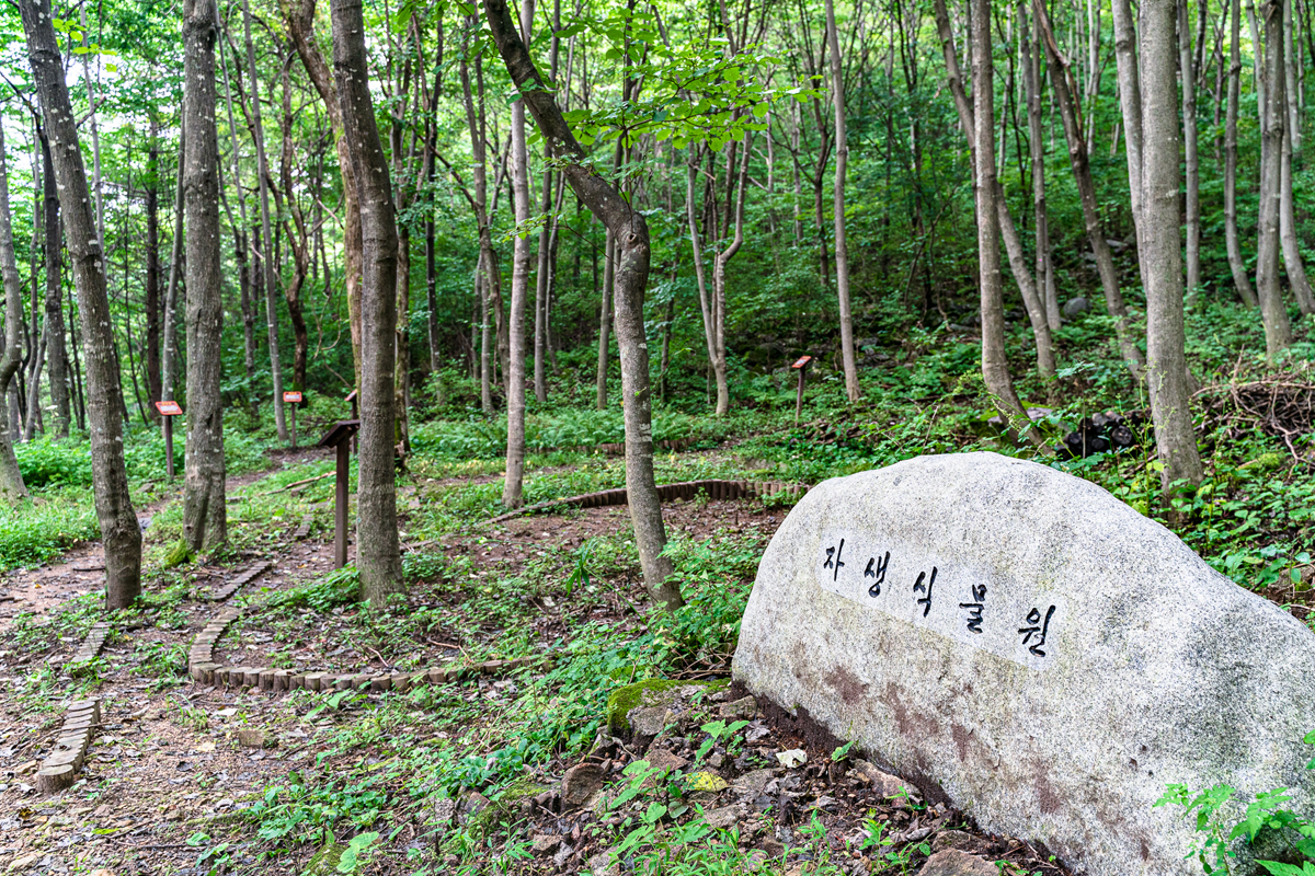 김천 치유의숲 자생식물원