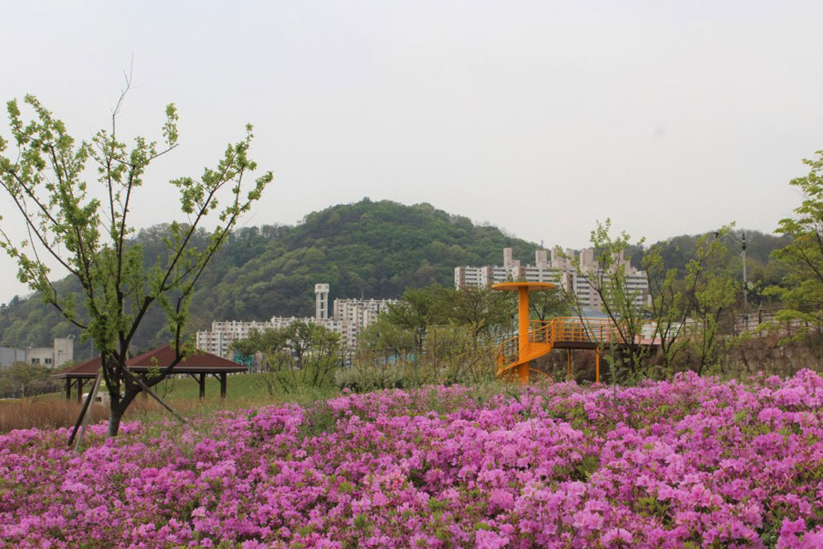 낙동강 역사너울길 사진7