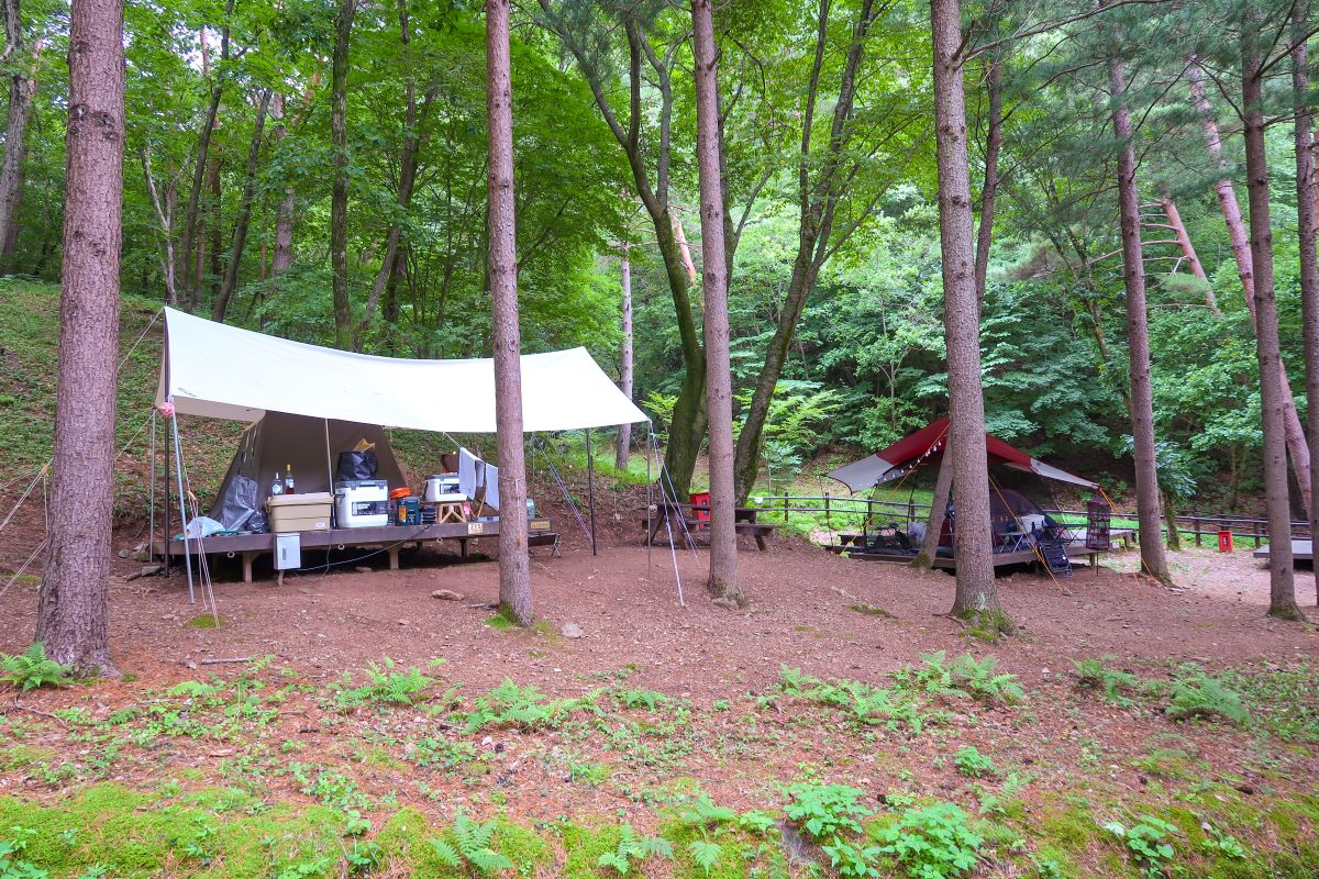 검마산 자연휴양림 캠핑