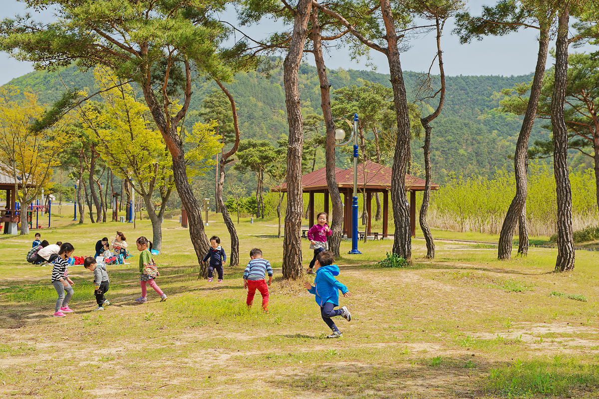 마애솔숲유원지에서 뛰어노는 아이들