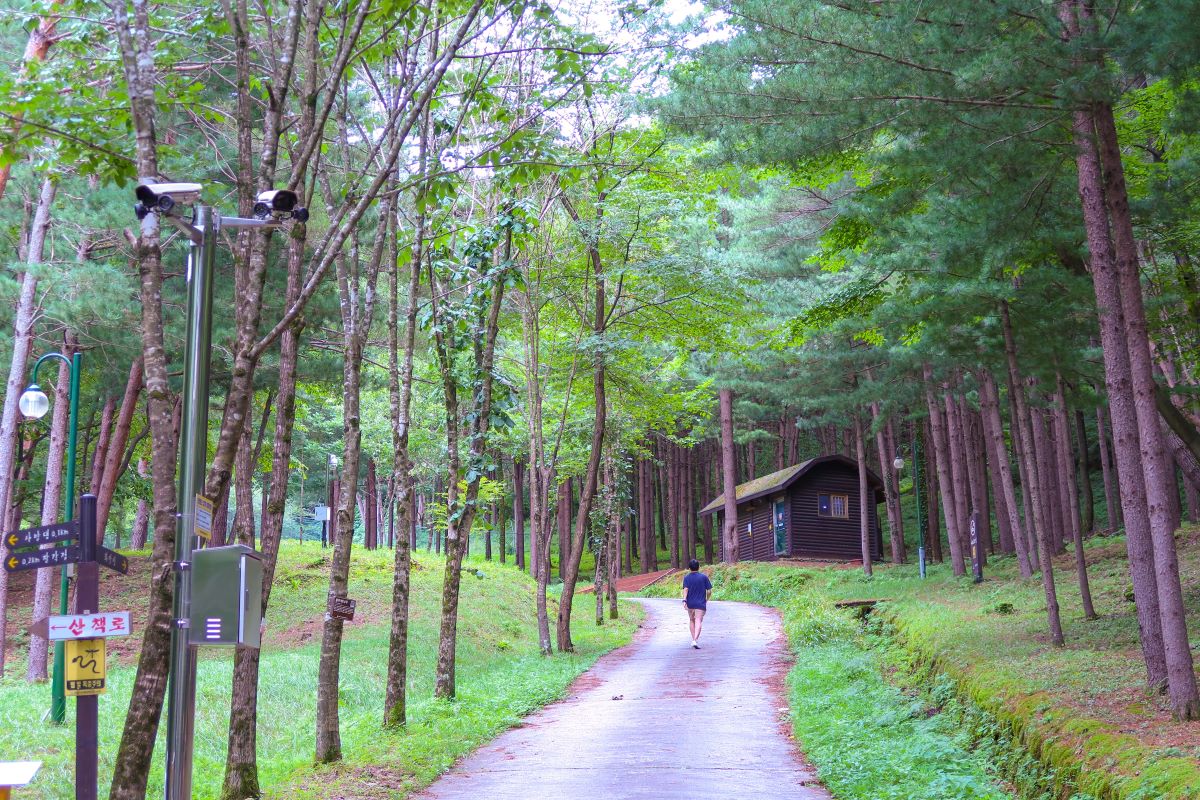 검마산 자연휴양림 산책길