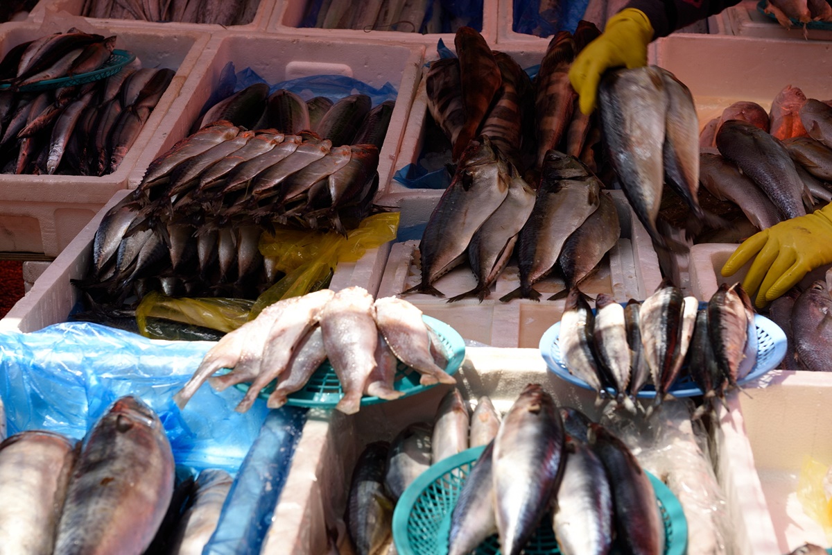 성주 전통시장 생선